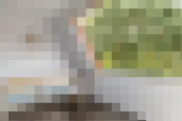 Makassarstraat 37 Utrecht thumbnail 44