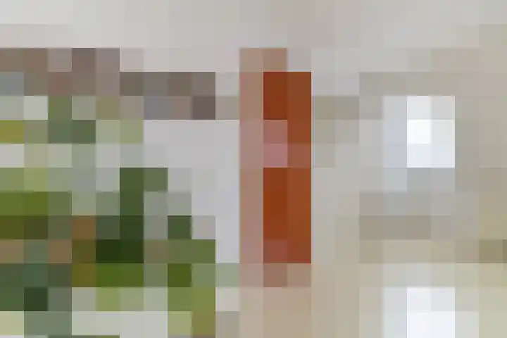 Makassarstraat 37 Utrecht thumbnail 50