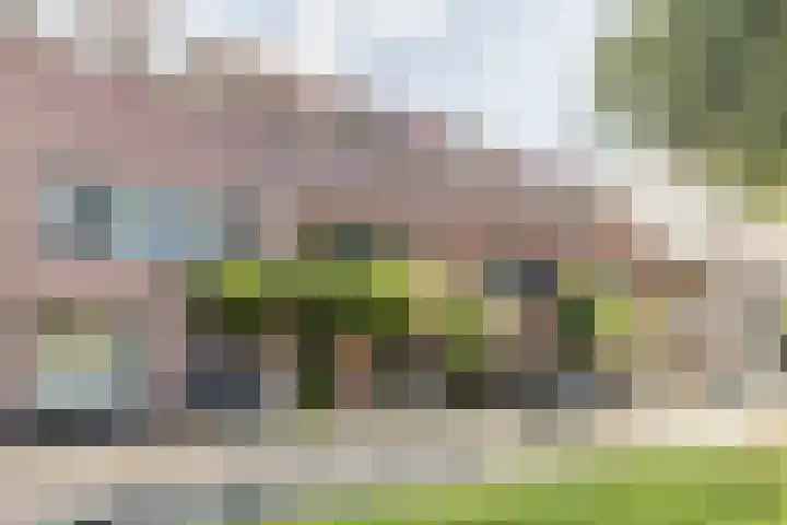 Makassarstraat 37 Utrecht thumbnail 55