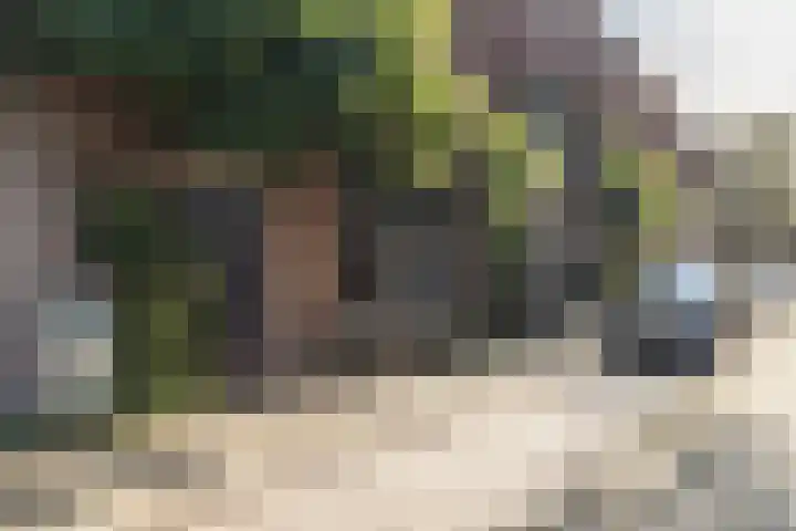 Makassarstraat 37 Utrecht thumbnail 57