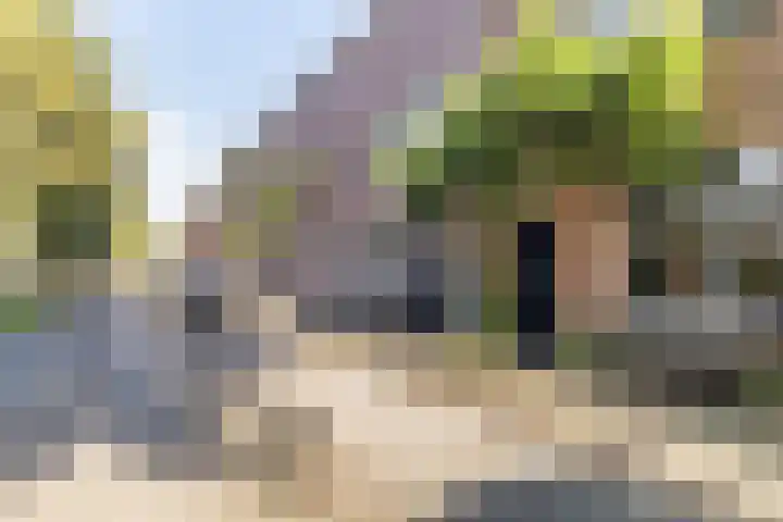 Makassarstraat 37 Utrecht thumbnail 58