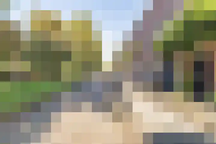 Makassarstraat 37 Utrecht thumbnail 60