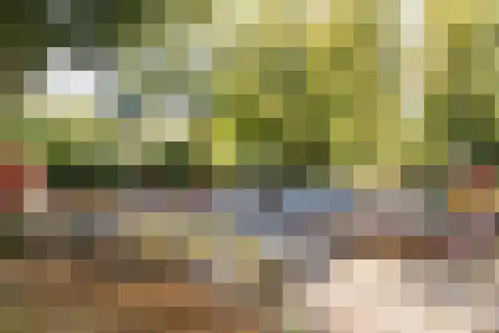Makassarstraat 37 Utrecht thumbnail 68
