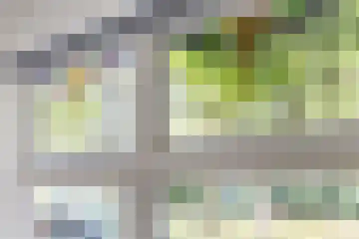 Makassarstraat 37 Utrecht thumbnail 8