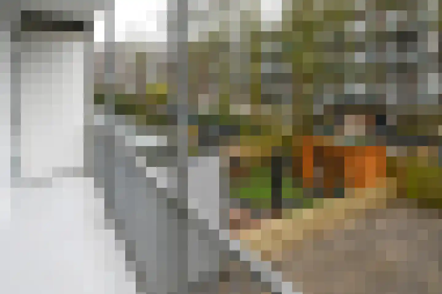 Makassarstraat 40 3 Amsterdam thumbnail 11
