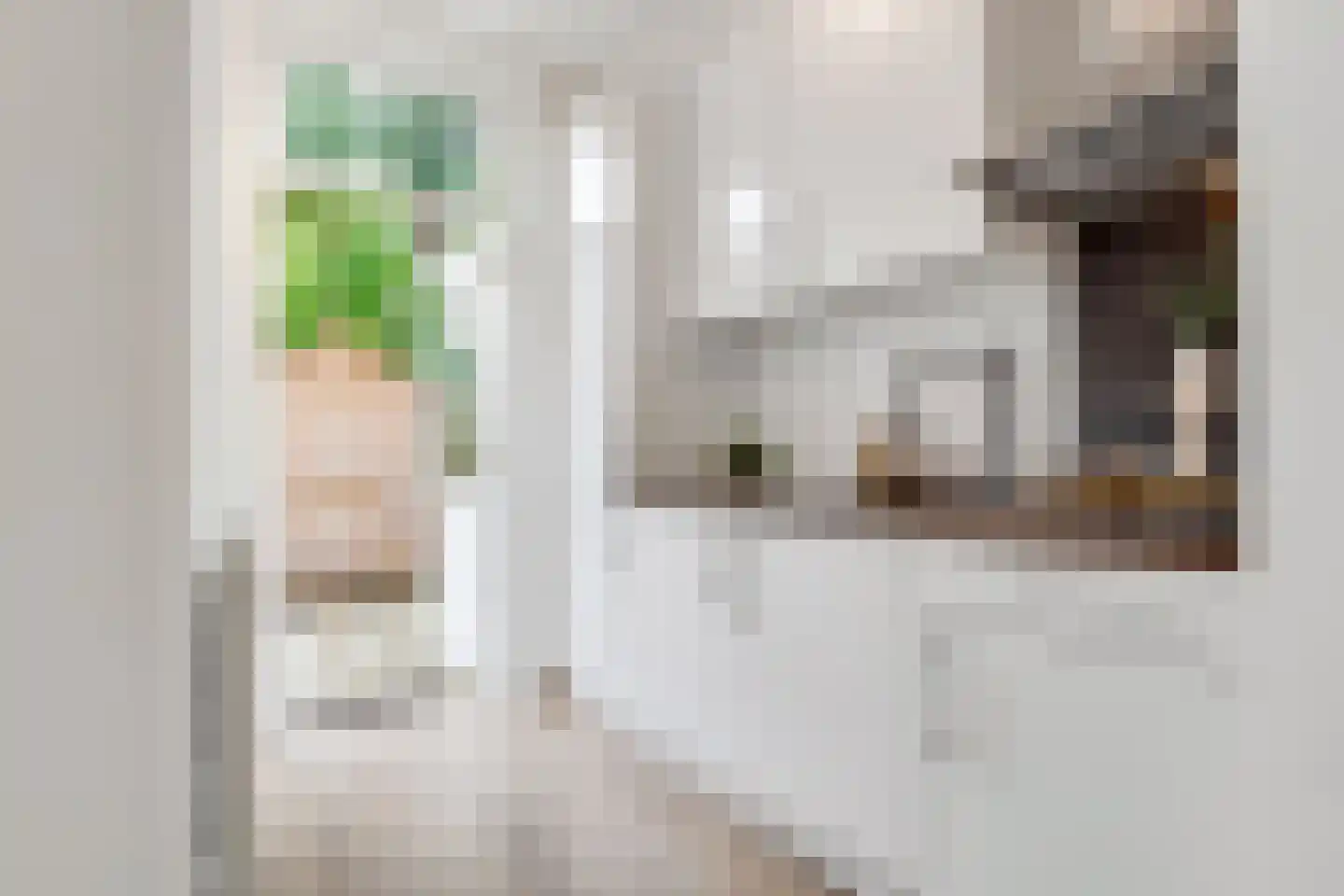 Makassarstraat 47 Utrecht thumbnail 13