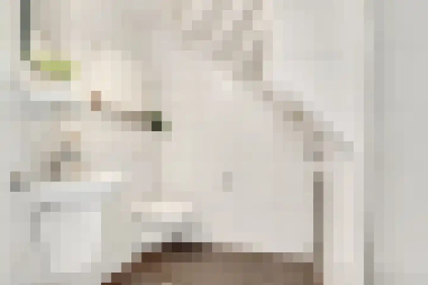 Makassarstraat 47 Utrecht thumbnail 18