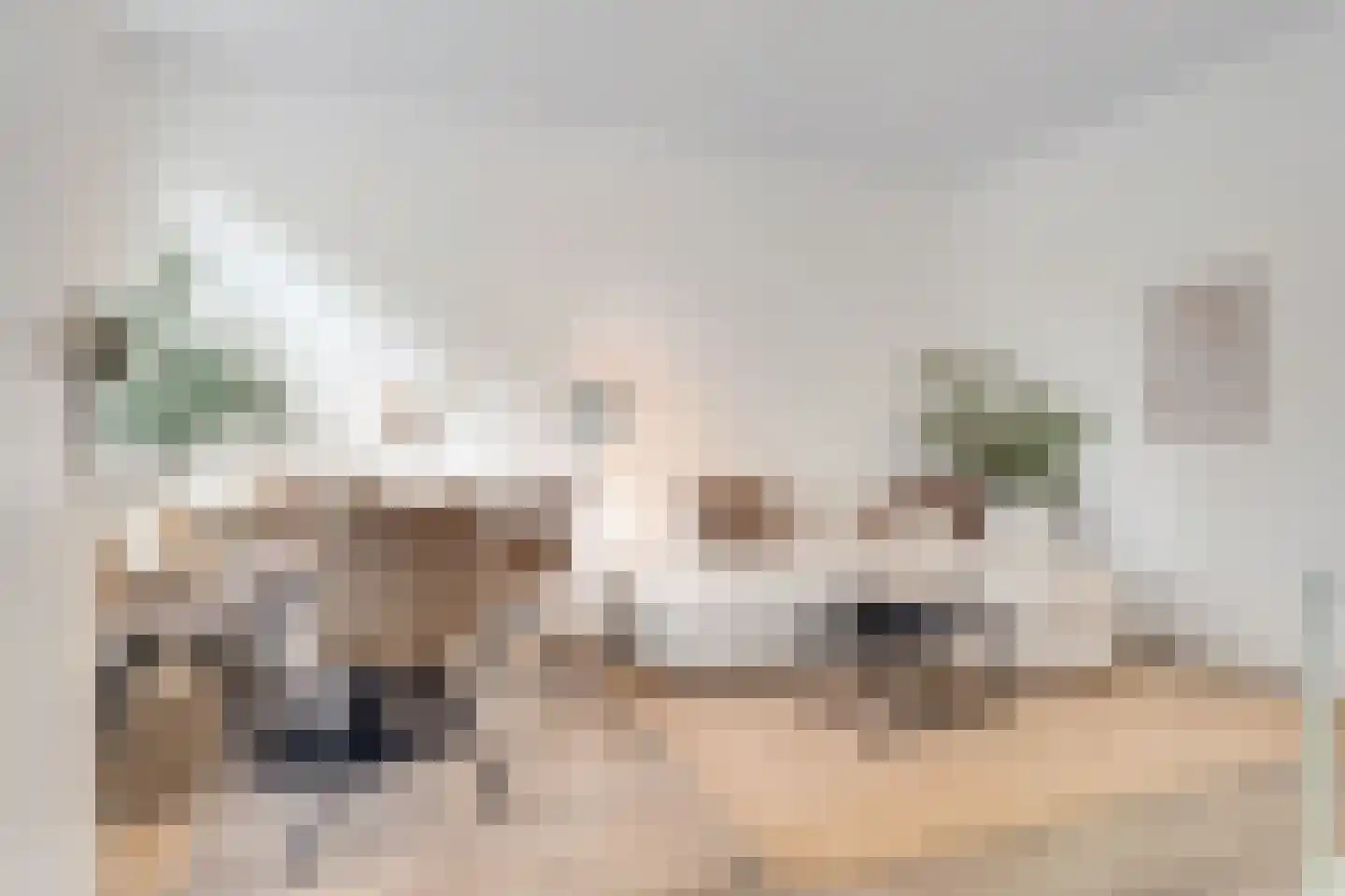 Makassarstraat 47 Utrecht thumbnail 7
