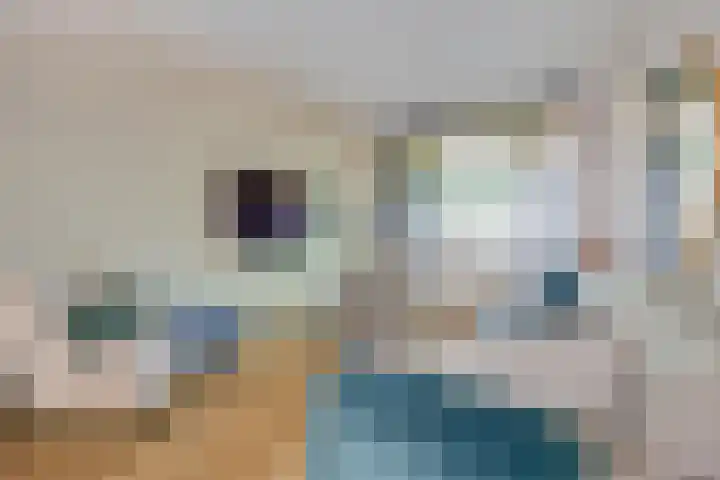 Makassarstraat 51 Utrecht thumbnail 18