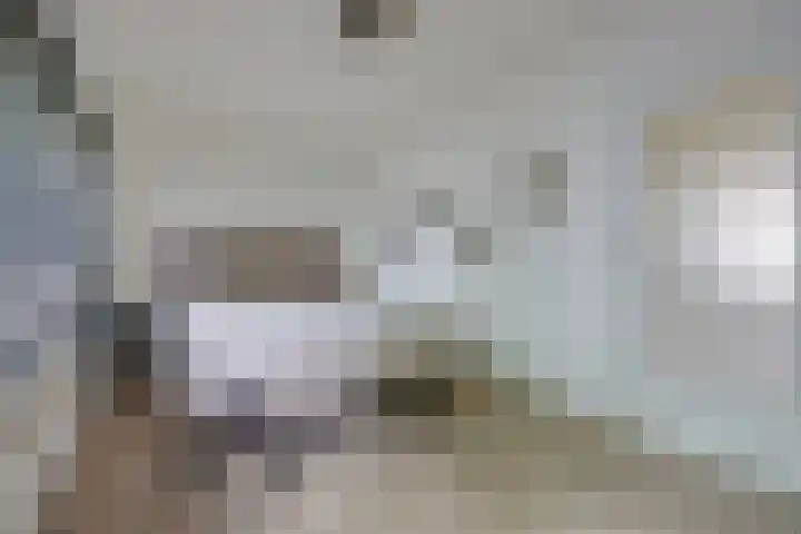 Makassarstraat 51 Utrecht thumbnail 30