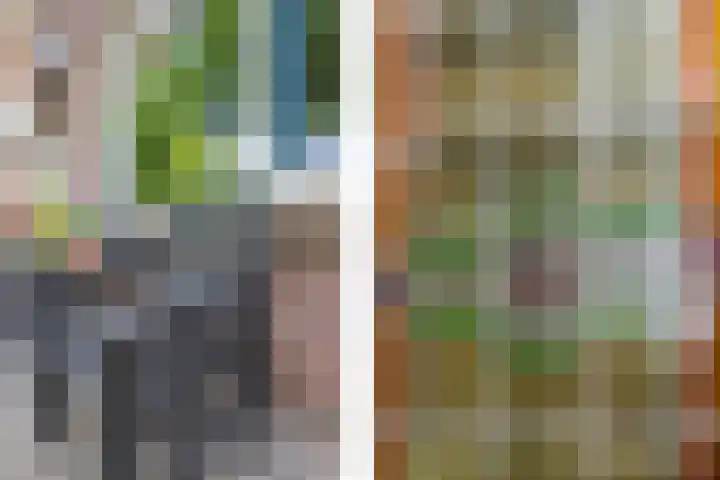 Makassarstraat 51 Utrecht thumbnail 8
