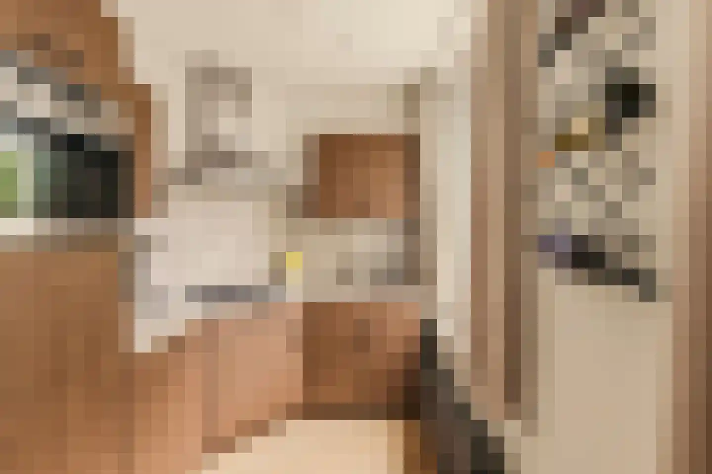 Makassarstraat 52 1 Amsterdam thumbnail 11