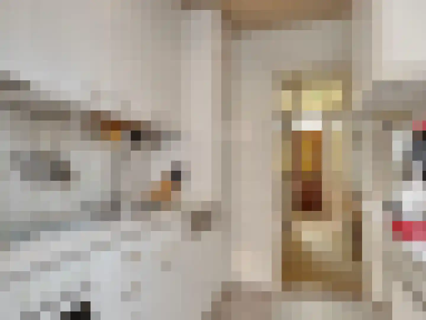 Makassarstraat 63 Utrecht thumbnail 11