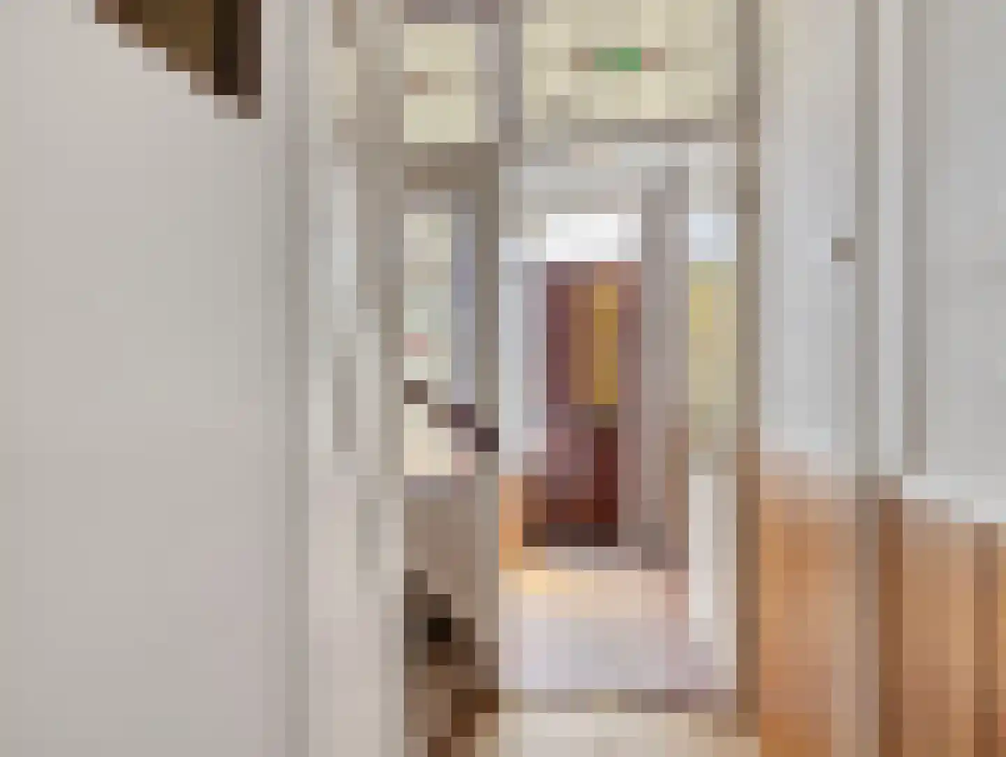 Makassarstraat 63 Utrecht thumbnail 15