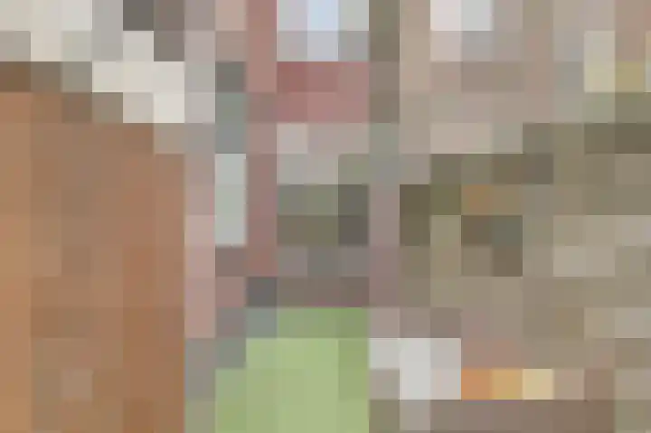 Makassarstraat 77 Utrecht thumbnail 11