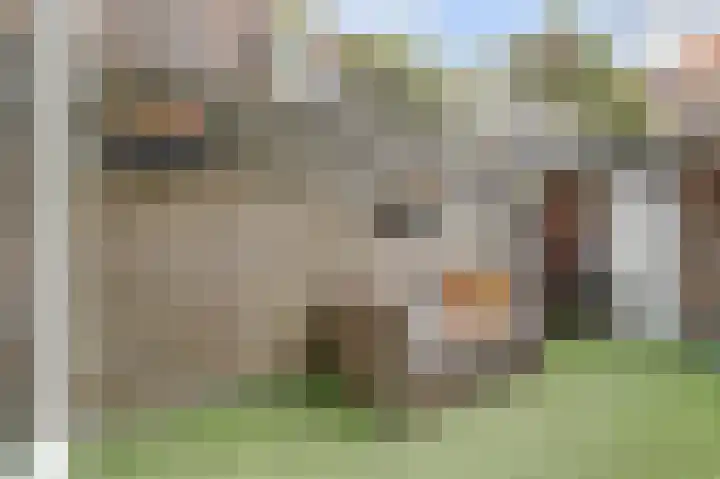 Makassarstraat 77 Utrecht thumbnail 12