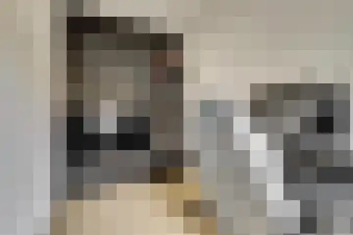 Makassarstraat 77 Utrecht thumbnail 19