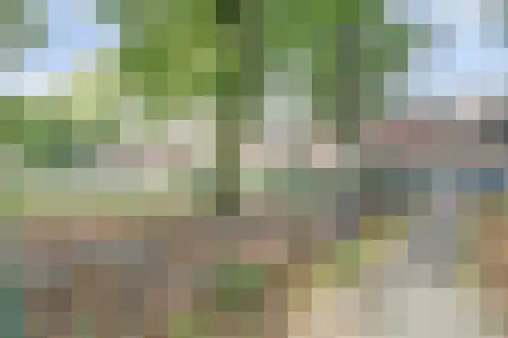 Makassarstraat 77 Utrecht thumbnail 25