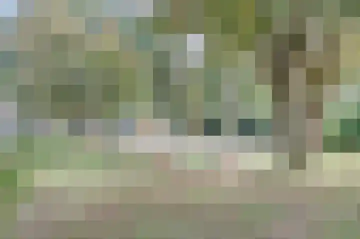 Makassarstraat 77 Utrecht thumbnail 26