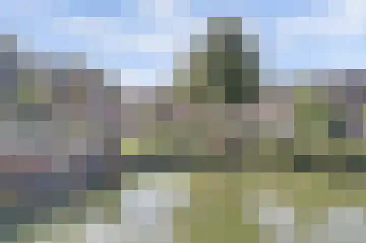 Makassarstraat 77 Utrecht thumbnail 30