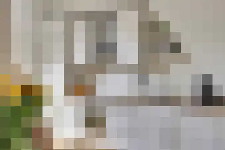 Makassarstraat 77 Utrecht thumbnail 7