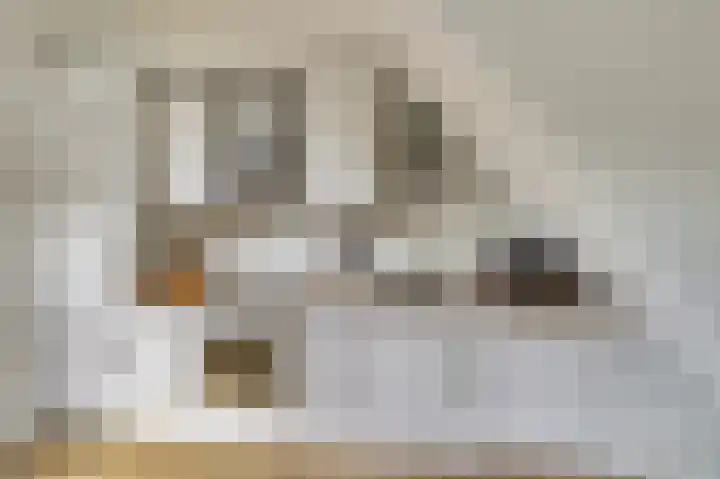 Makassarstraat 77 Utrecht thumbnail 8