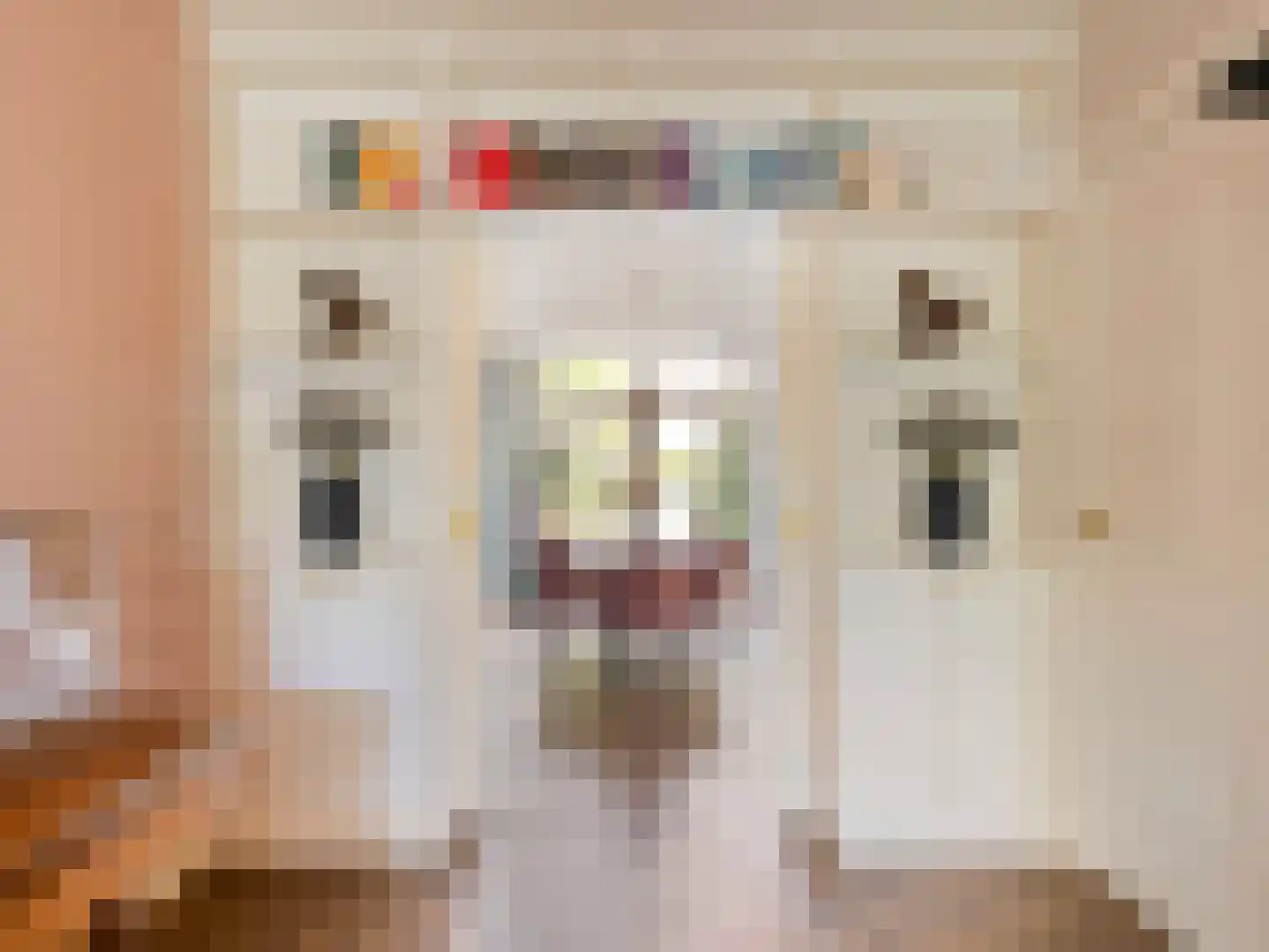 Makassarstraat 89 Utrecht thumbnail 13