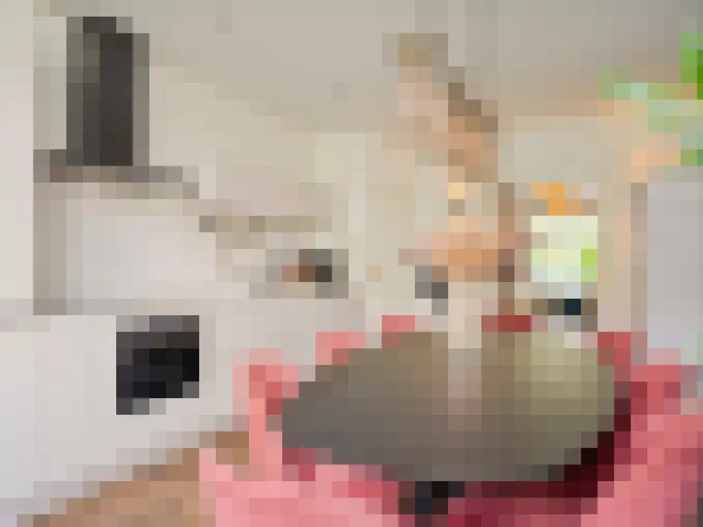 Makassarstraat 89 Utrecht thumbnail 16