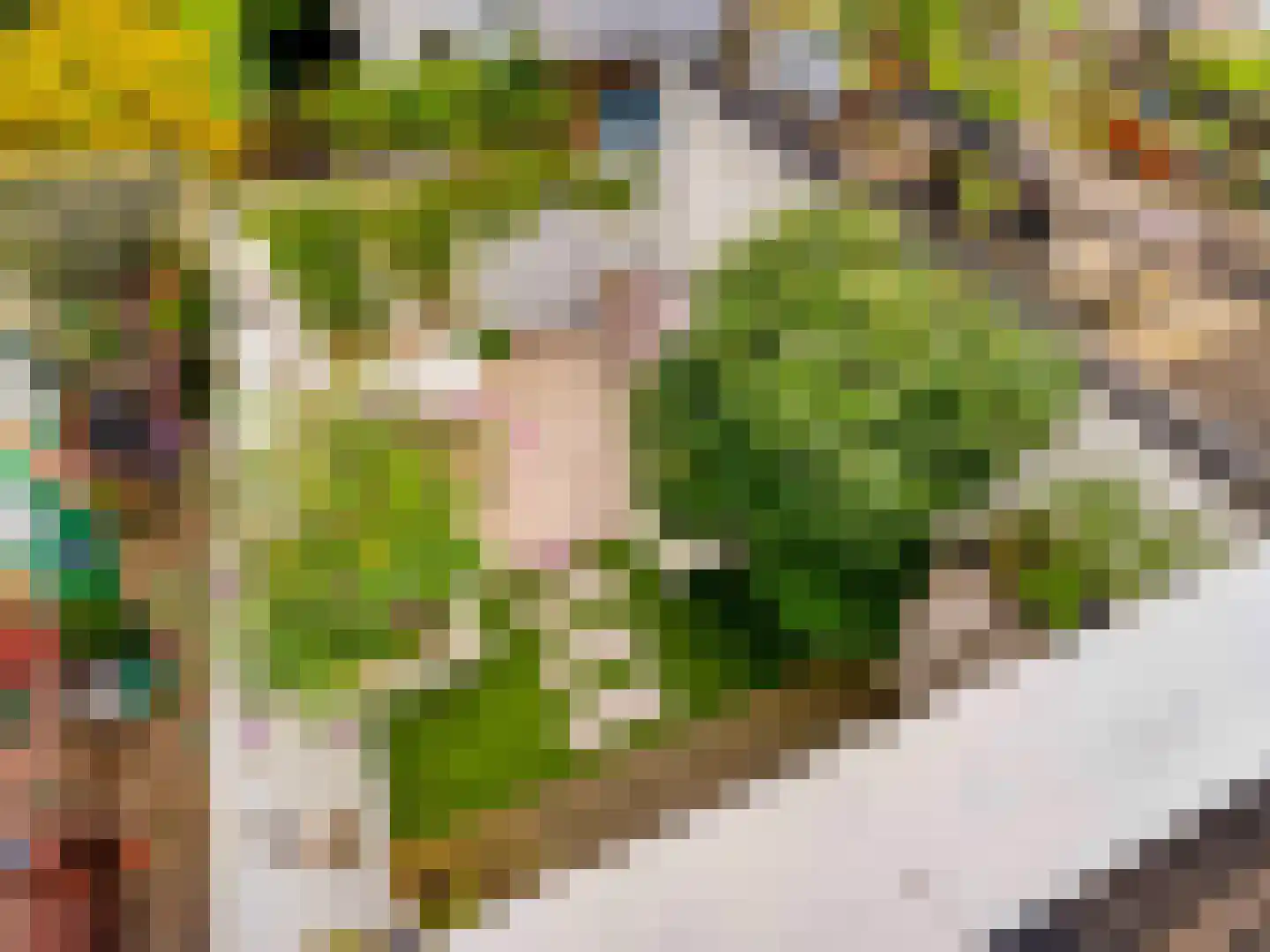 Makassarstraat 89 Utrecht thumbnail 28