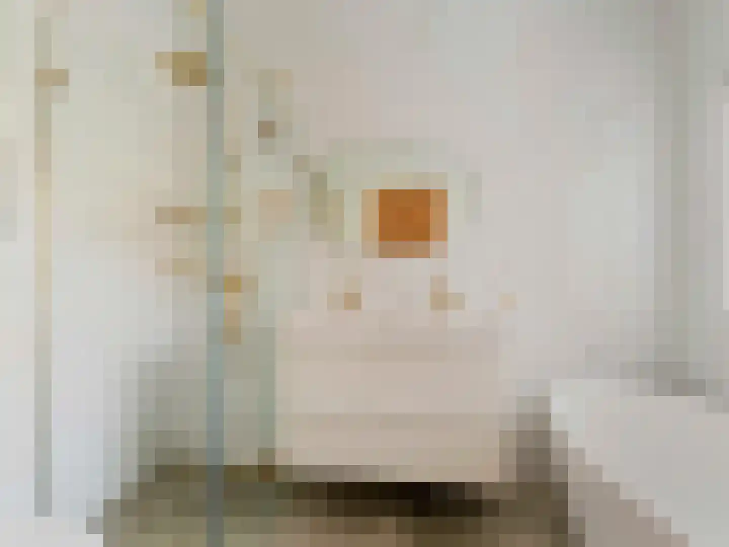 Makassarstraat 89 Utrecht thumbnail 30