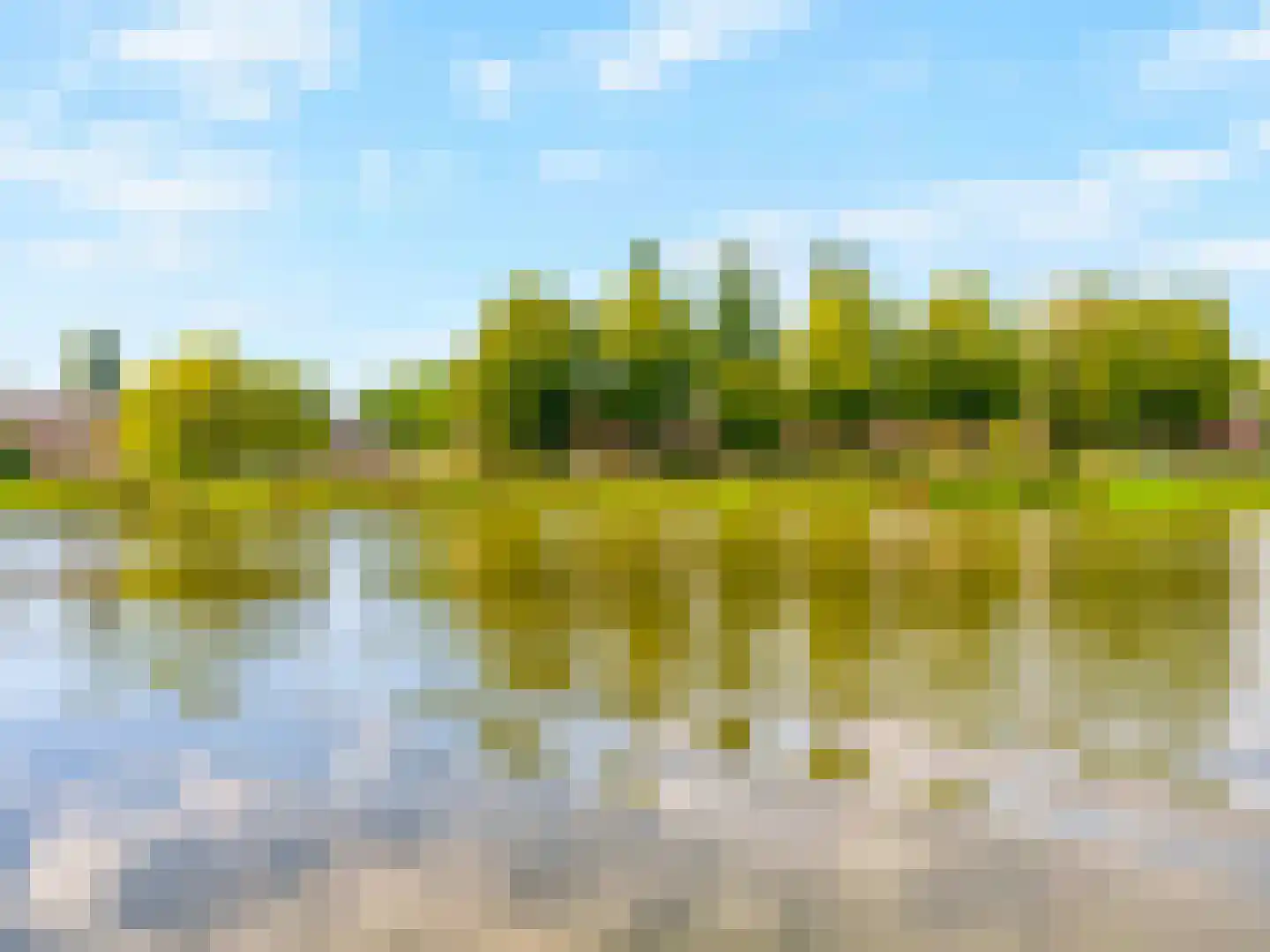 Makassarstraat 89 Utrecht thumbnail 45