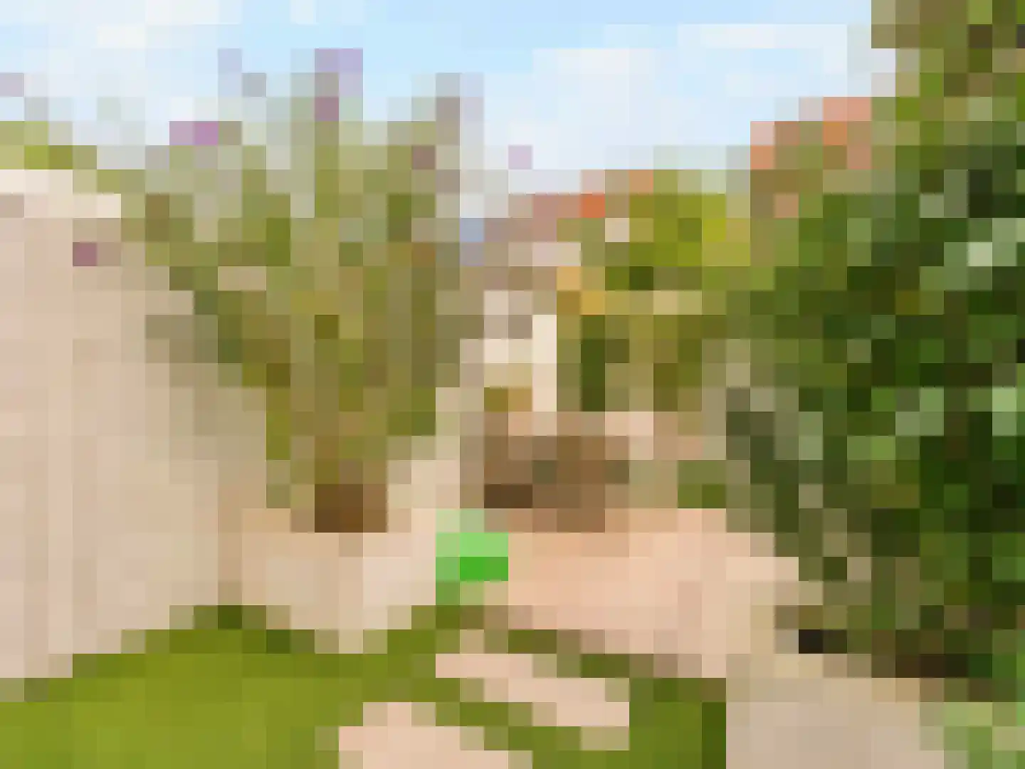 Makassarstraat 89 Utrecht thumbnail 6