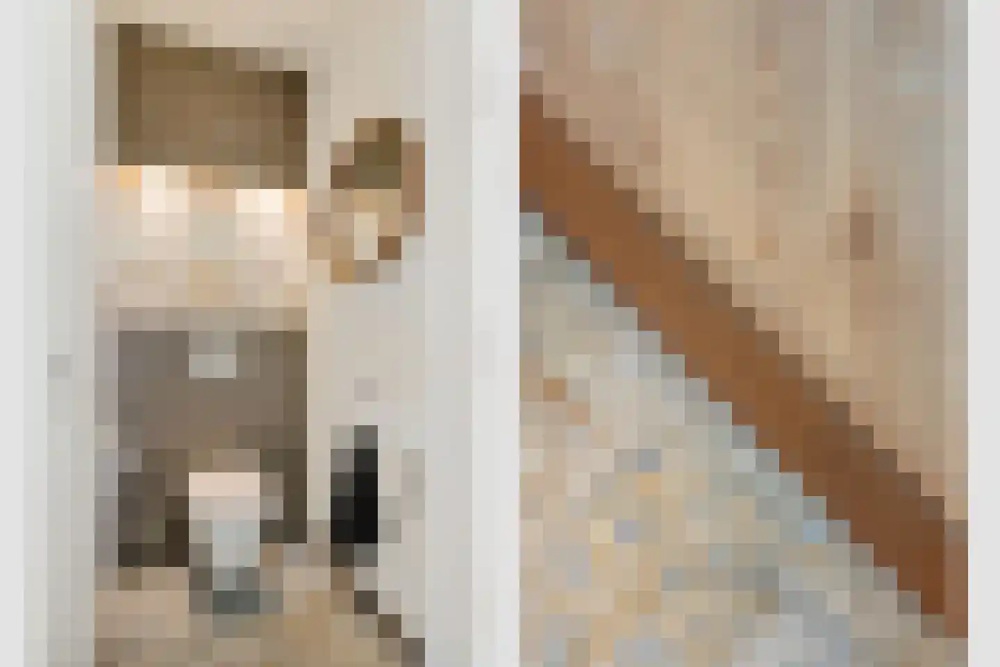 Makassarstraat 93 Utrecht thumbnail 10