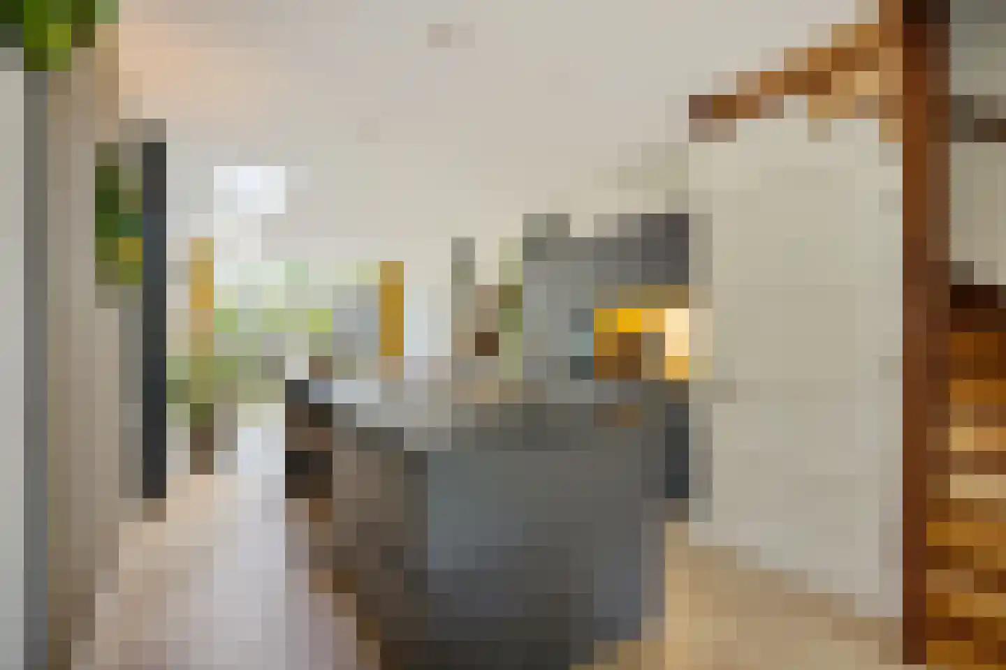 Makassarstraat 93 Utrecht thumbnail 13
