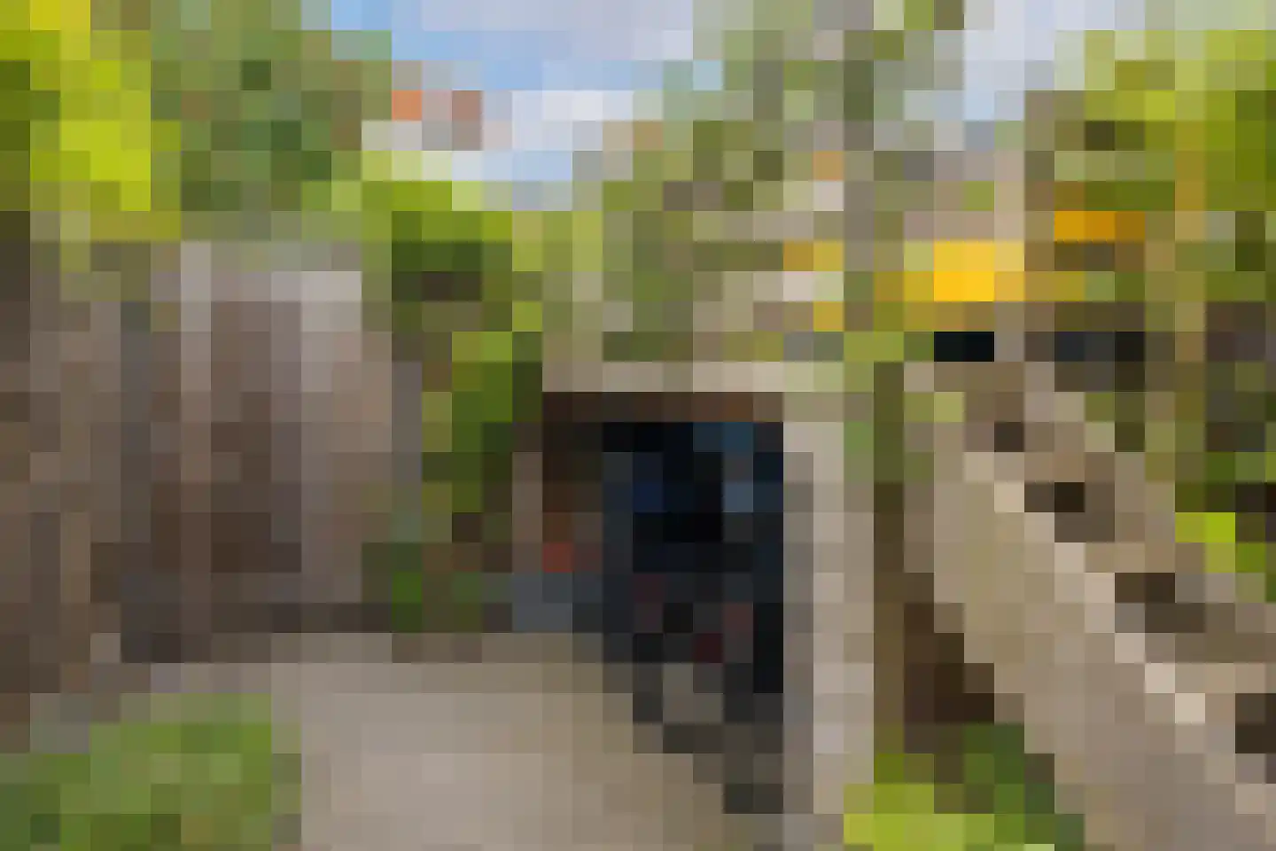 Makassarstraat 93 Utrecht thumbnail 22
