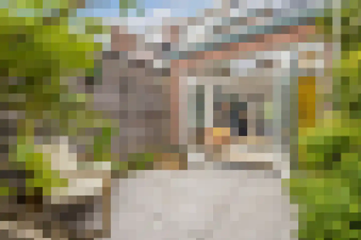 Makassarstraat 93 Utrecht thumbnail 24