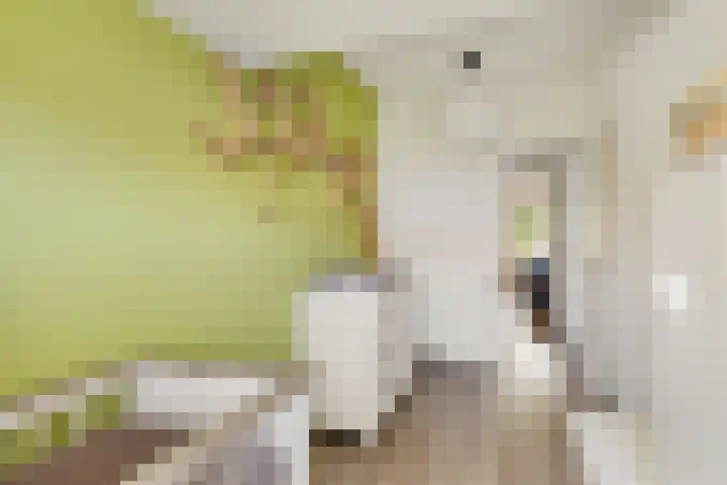 Makassarstraat 93 Utrecht thumbnail 29
