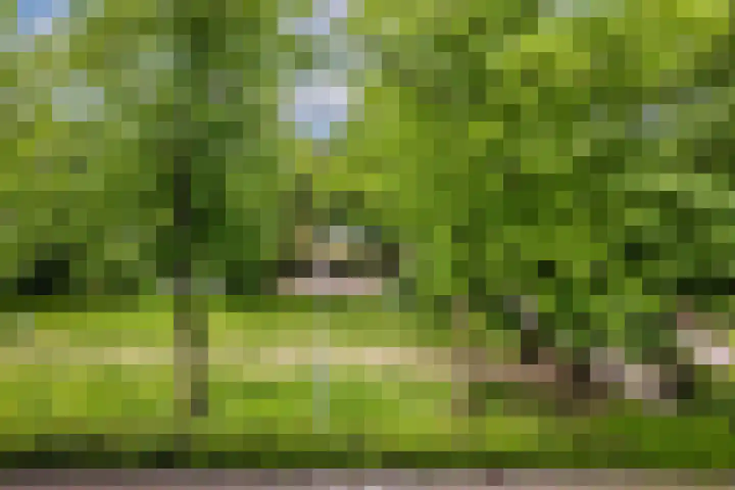 Makassarstraat 93 Utrecht thumbnail 37