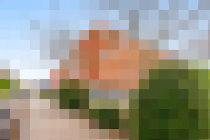Makassarweg 62 G Almere thumbnail 8