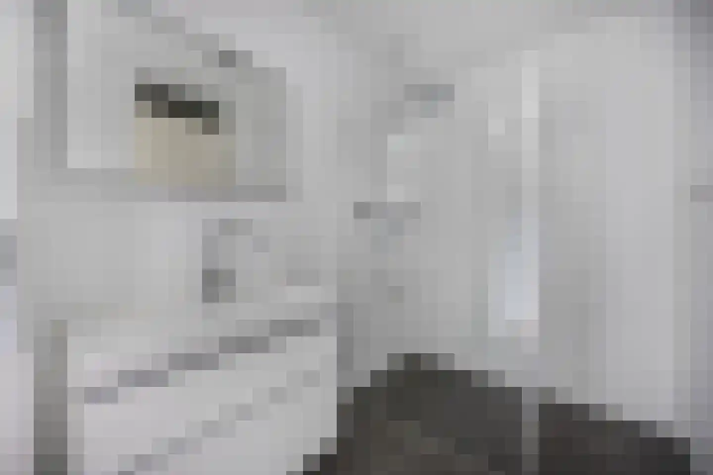 Makassarweg 7 D Almere thumbnail 22
