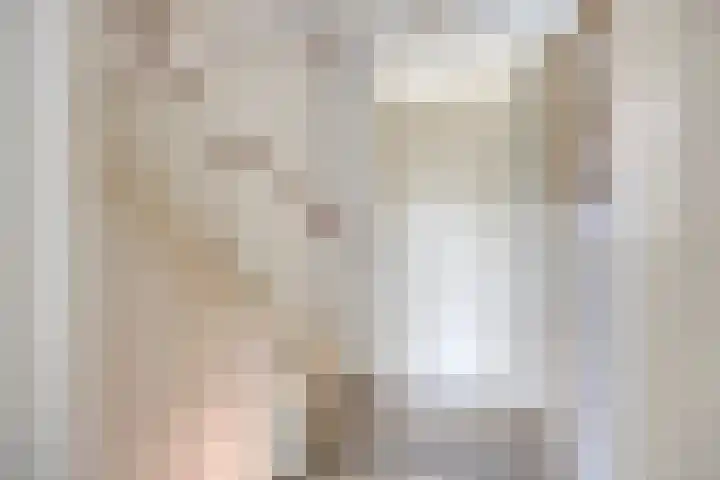 Makelaar 33 Assendelft thumbnail 10