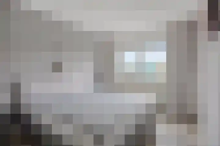 Makelaar 33 Assendelft thumbnail 11