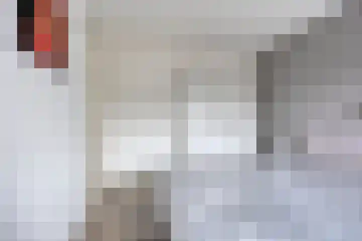 Makelaar 33 Assendelft thumbnail 12