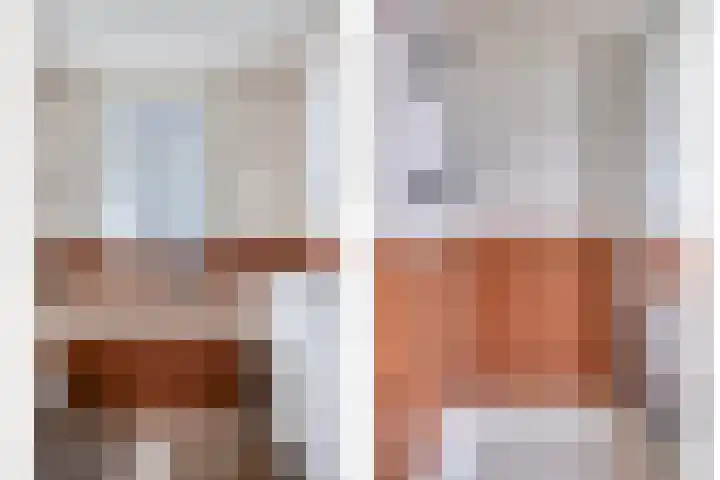 Makelaar 33 Assendelft thumbnail 14
