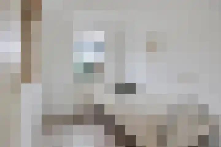 Makelaar 33 Assendelft thumbnail 15