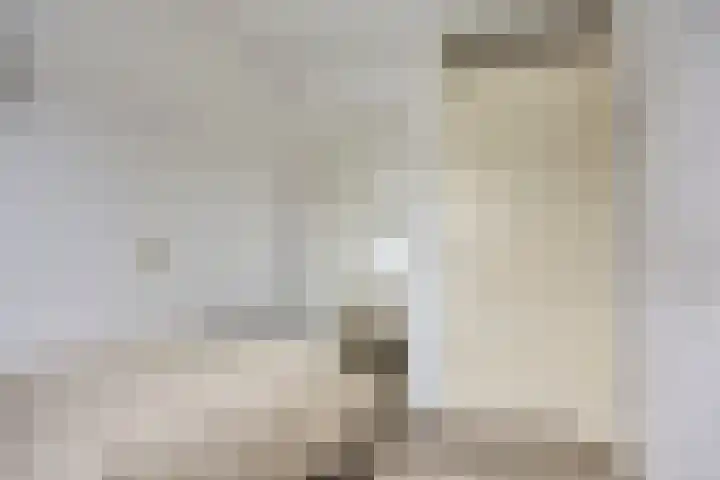Makelaar 33 Assendelft thumbnail 16