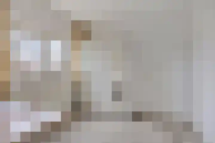 Makelaar 33 Assendelft thumbnail 17