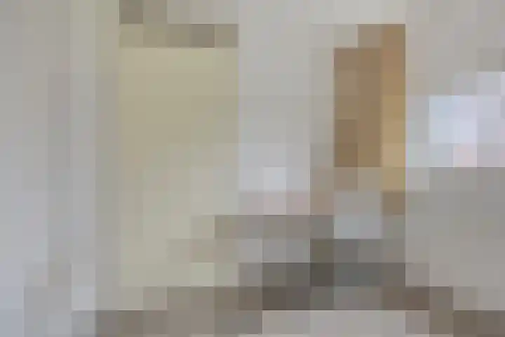 Makelaar 33 Assendelft thumbnail 18