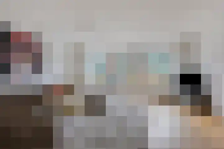 Makelaar 33 Assendelft foto 2