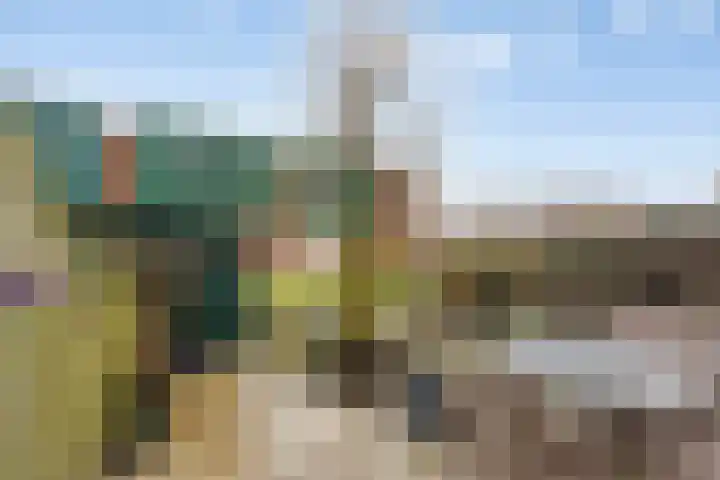 Makelaar 33 Assendelft thumbnail 22